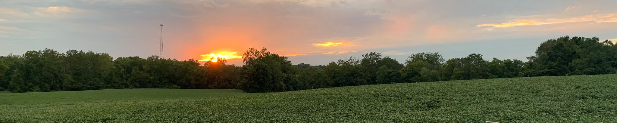 Cover for Kathy Ann Ruble's Obituary