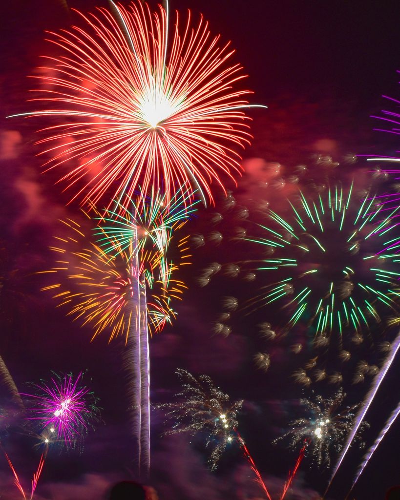 Patricia Salatka Profile Photo