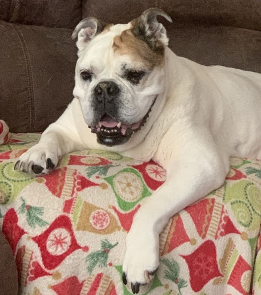Maggie Mae Jones Profile Photo