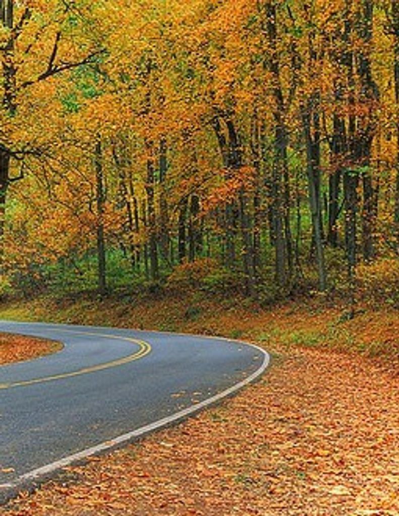 Franklin "Frankie" Neff Profile Photo