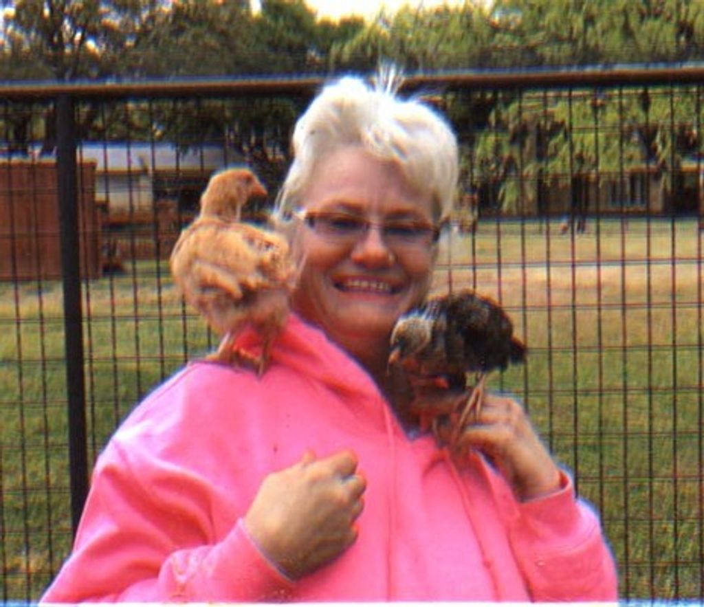 Carol Ann Dillard Profile Photo
