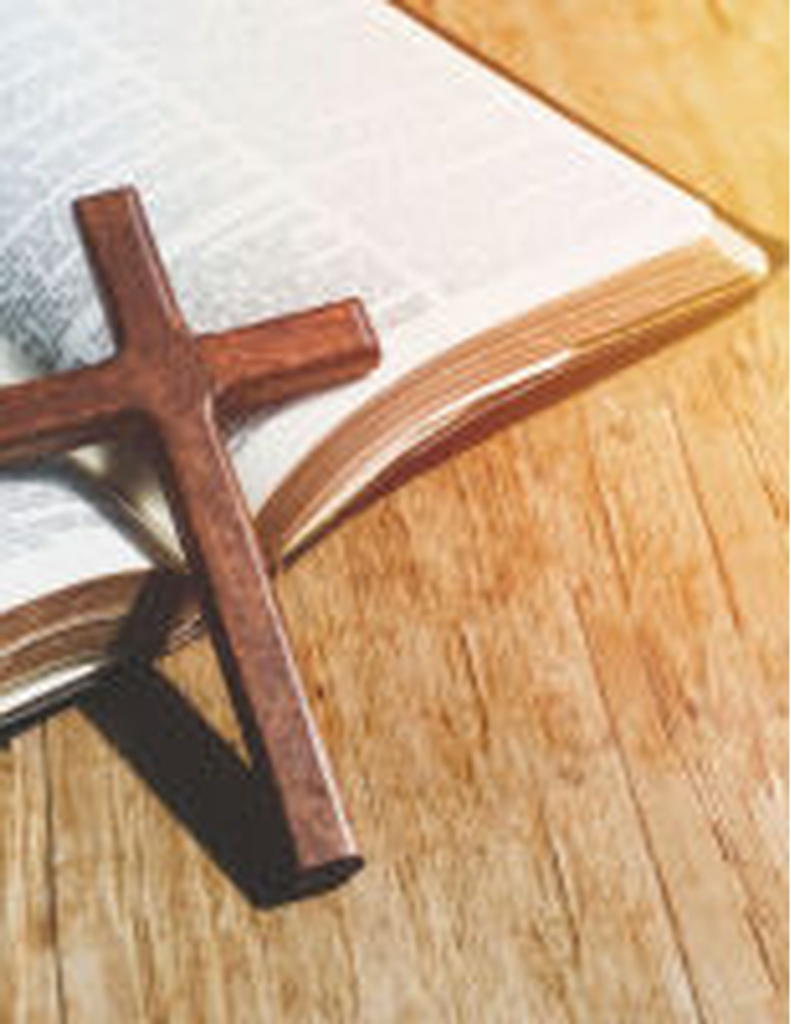 Cynthia "Cindy" Louise Knapp