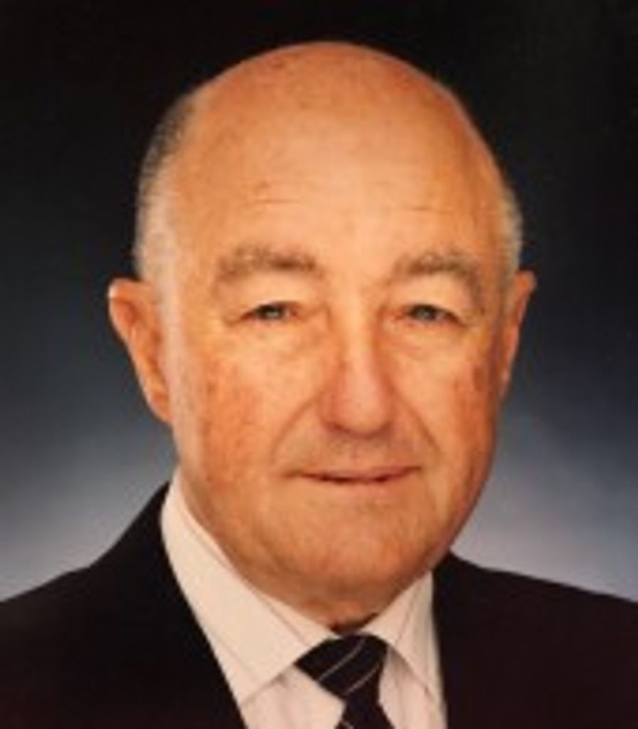 P. Louis Rohe Jr.