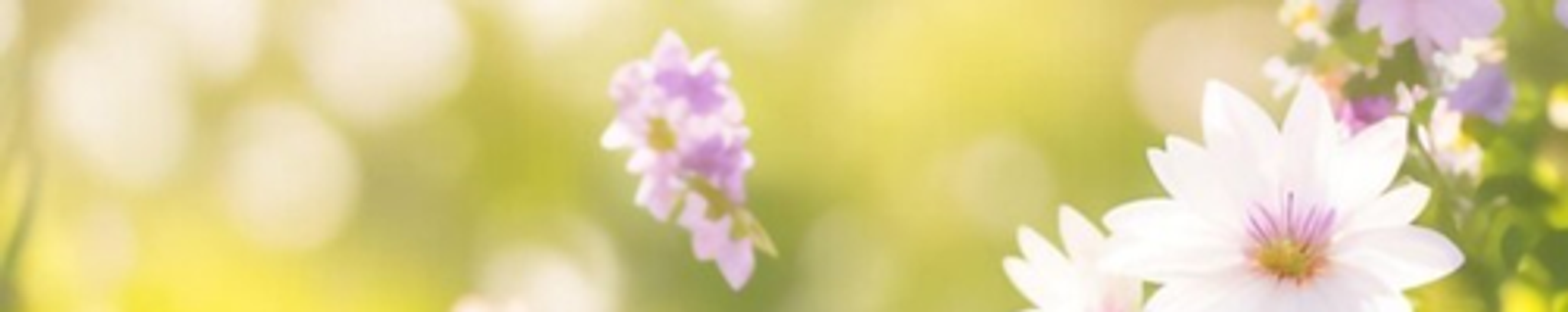 Cover photo for Elma Moore's Obituary