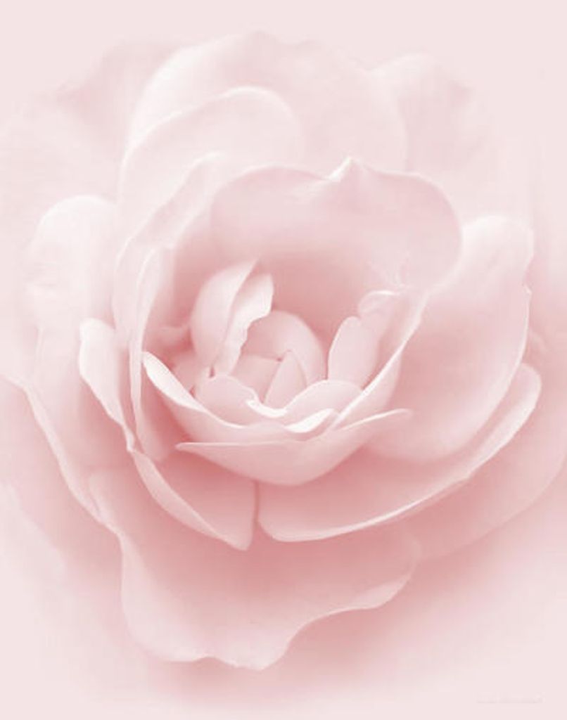 Beverly Ann Hall Profile Photo