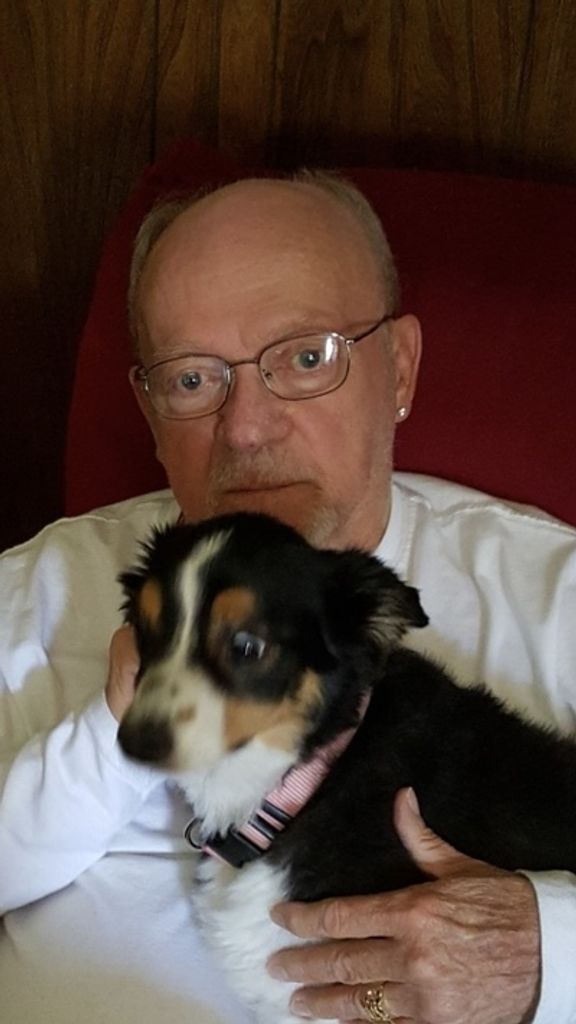 Jack Ash Profile Photo