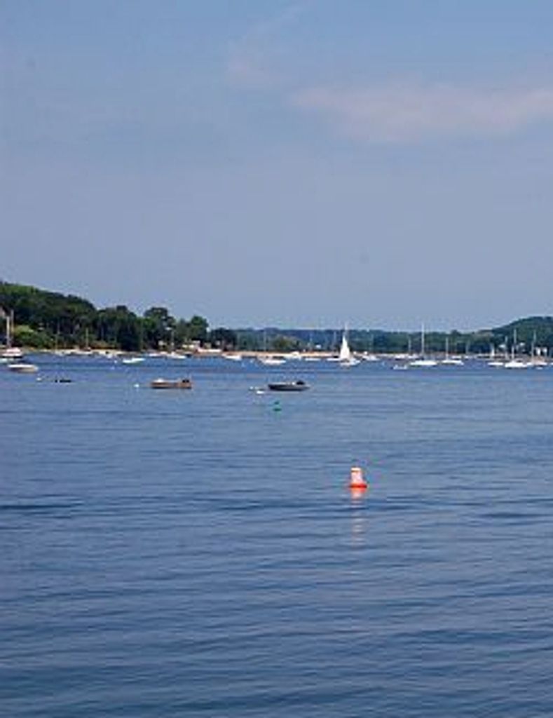 Nancy Lee Krauter Profile Photo