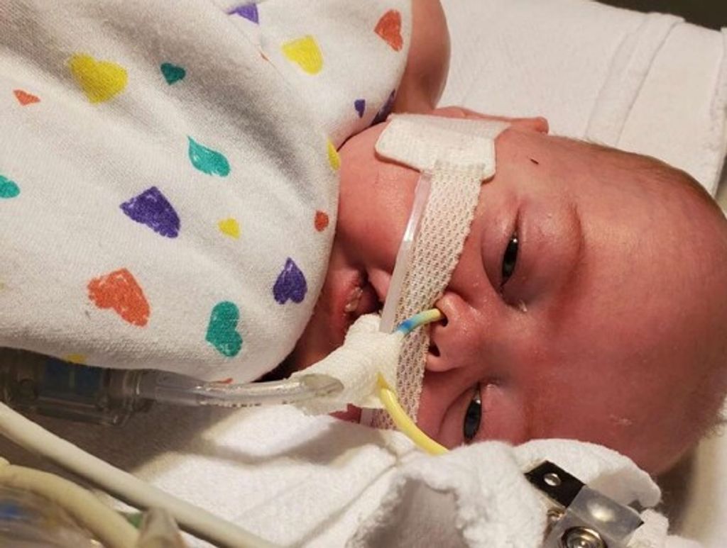 Gabriel Burke Profile Photo