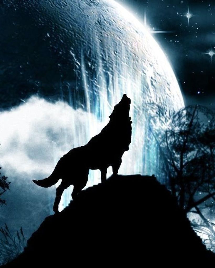 Brandon Keane Profile Photo