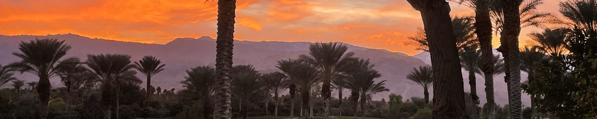 Cover for Loretta Marie Siani's Obituary