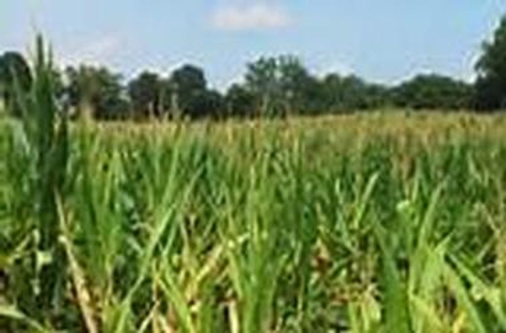 James Leo Freund Profile Photo