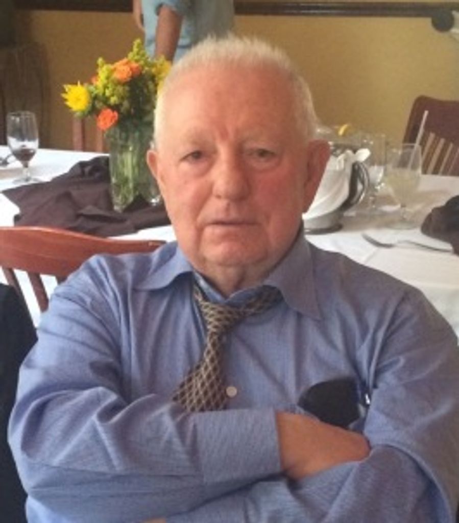 Rocco Coppola Profile Photo