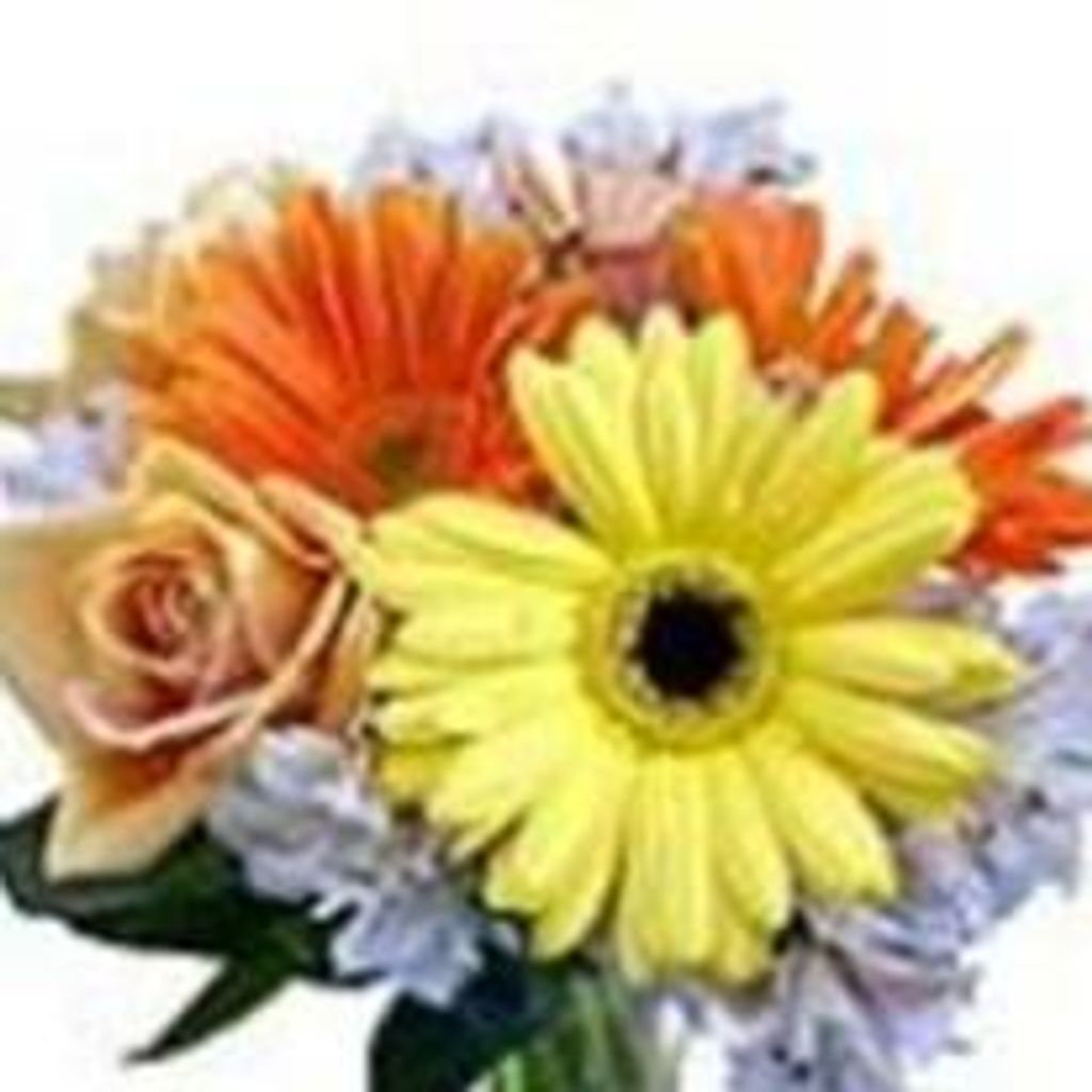 Ana Celia Rivera