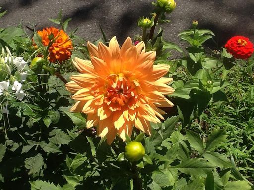 Sandra L. Stowers photo gallery thumbnail 59 of 100