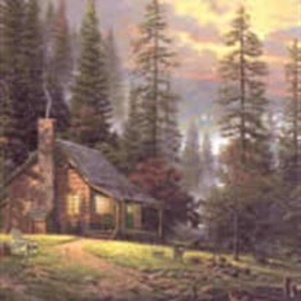 Dan Flora