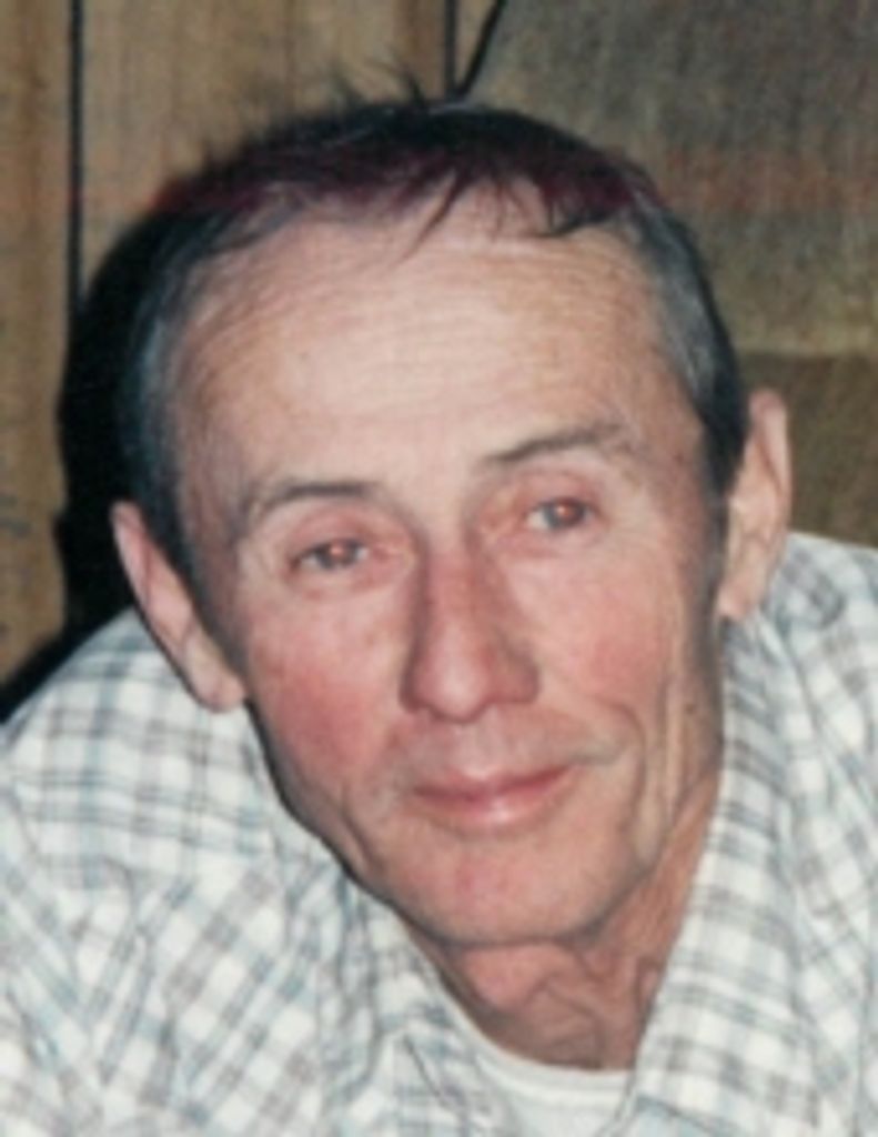 Henry V. Hanson