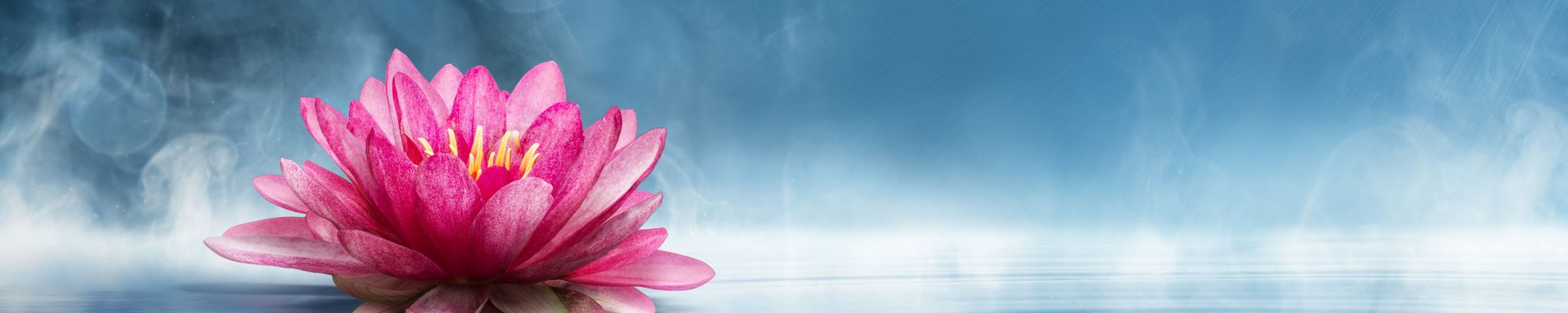 Cover photo for Rev. Tiffany Jean Barsotti, M.Th., Ph.D.'s Obituary