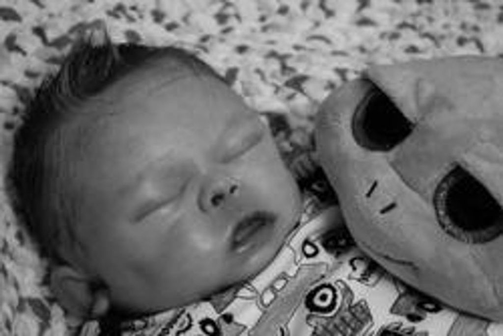 Daxton Alexander Cioni