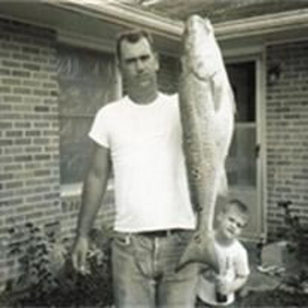 Terry Wilton McMillin