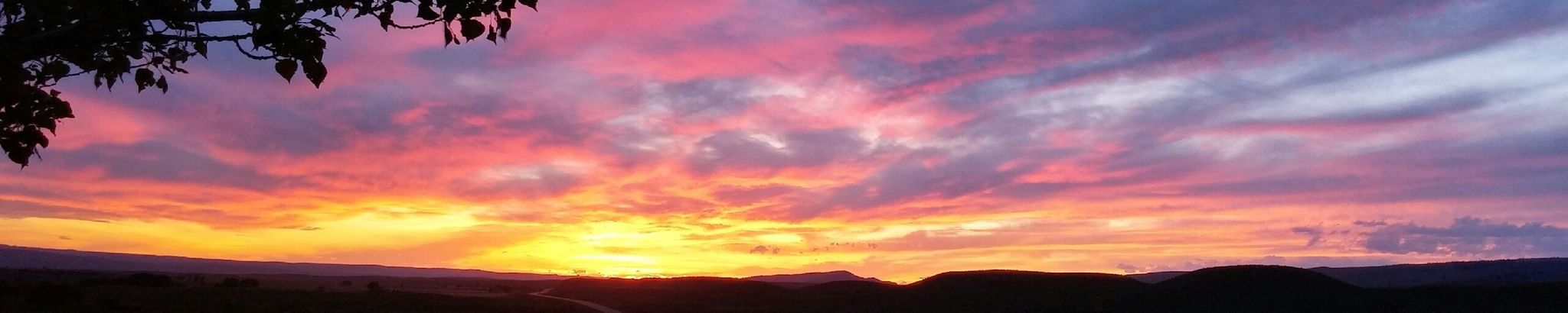 Cover for Devon Denise Strube's Obituary