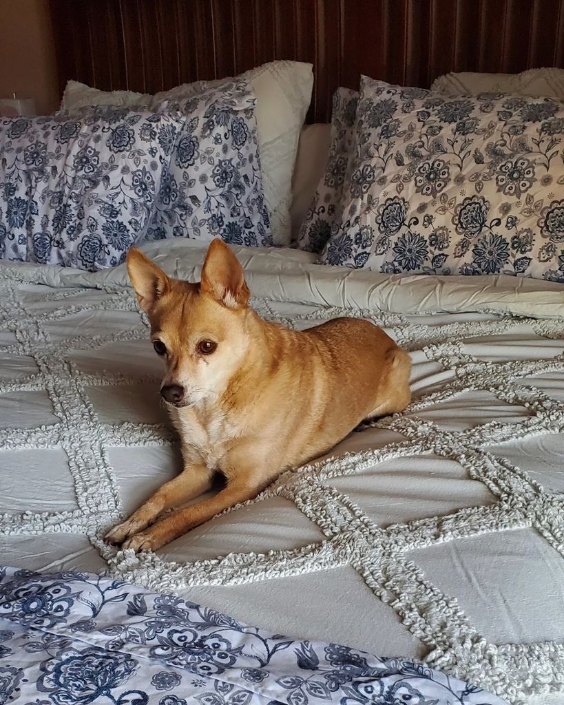 Mocha Garnett Profile Photo