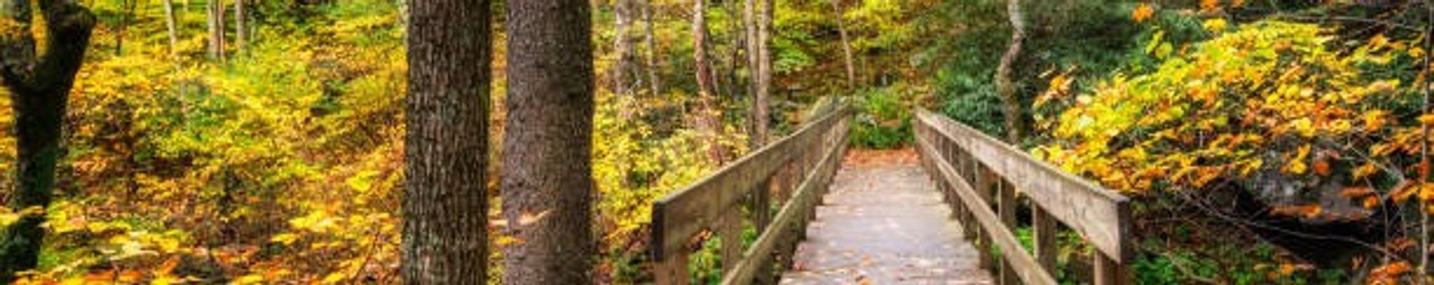 Cover for Fay M. Coffman's Obituary