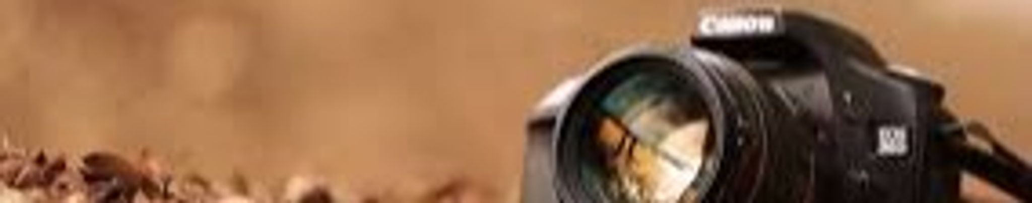 Cover for Carolyn Virginia Webb's Obituary