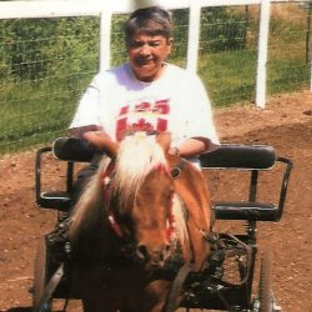Darlene Mcleay