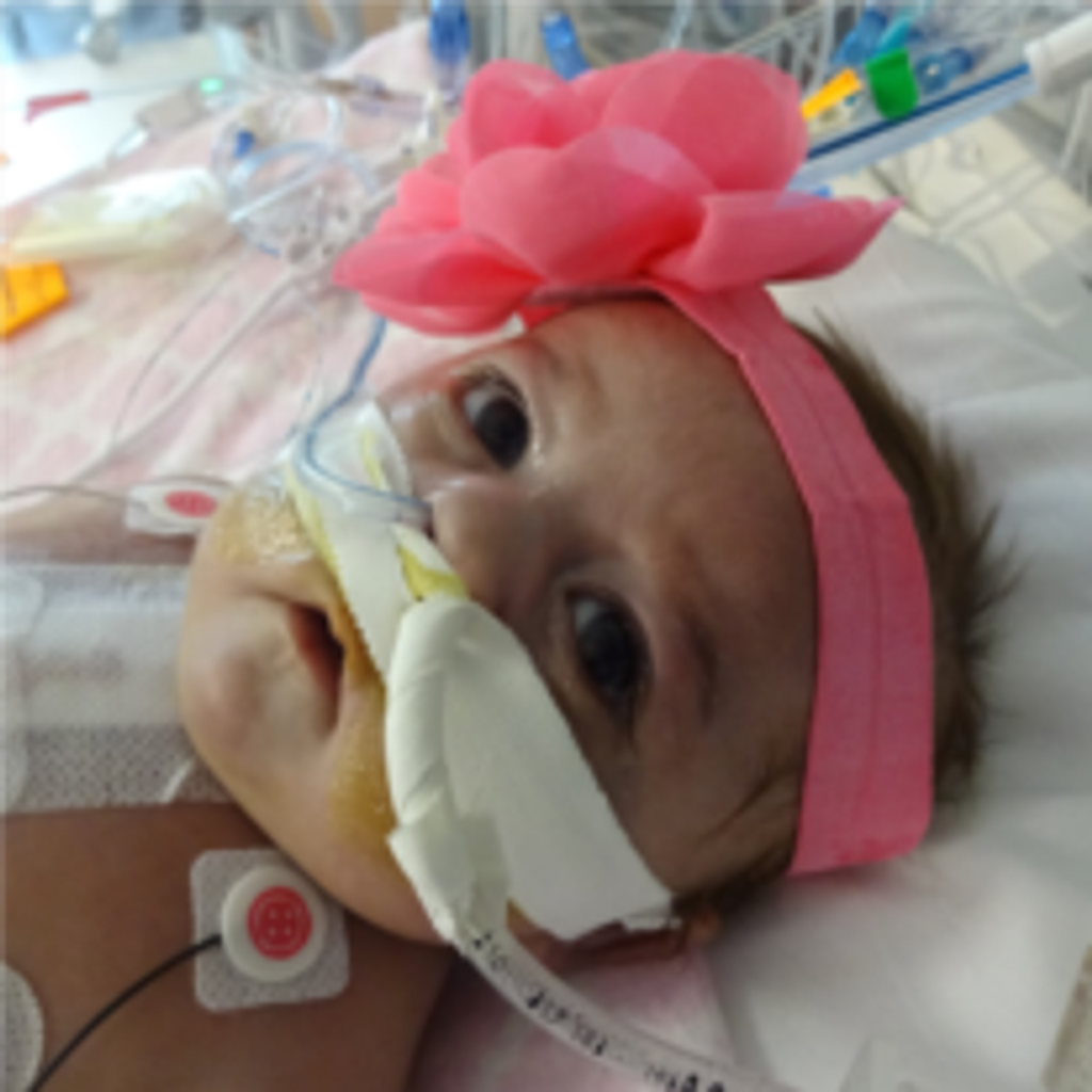 Eliana Grace Hoffman