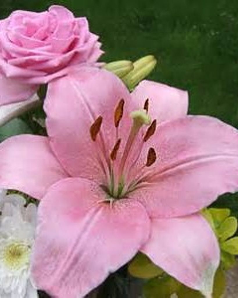 Mary Lou Bellard Bordelon Profile Photo