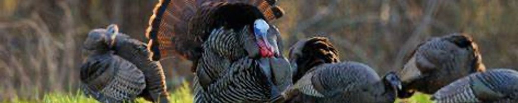Cover photo for Gregg Armstrong's Obituary