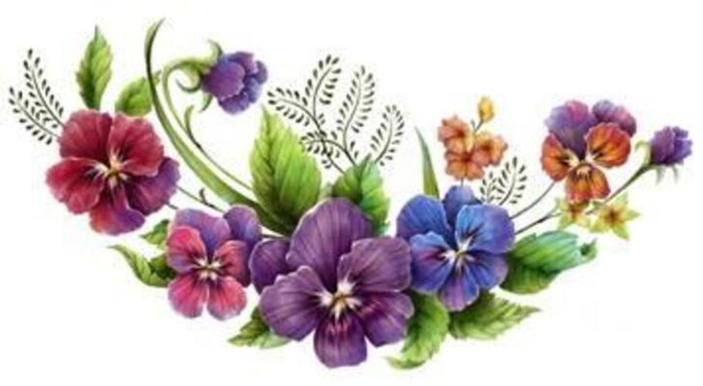 Alice A. Saar Profile Photo