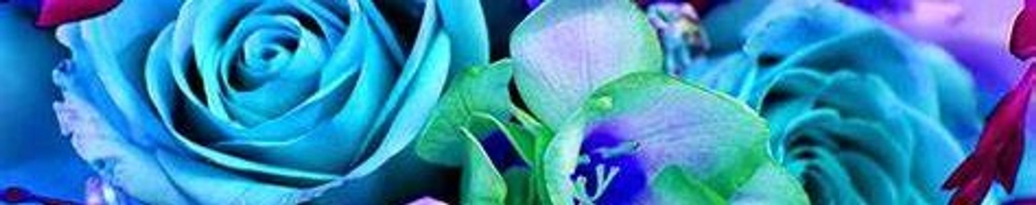 Cover photo for Denna Drulias Theodore "Yiayia"'s Obituary