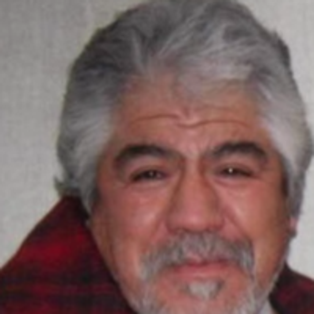 Ramiro Villanueva Avila