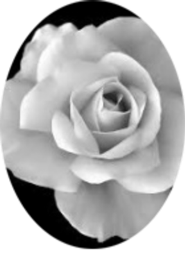 Abigail Marie Day Profile Photo