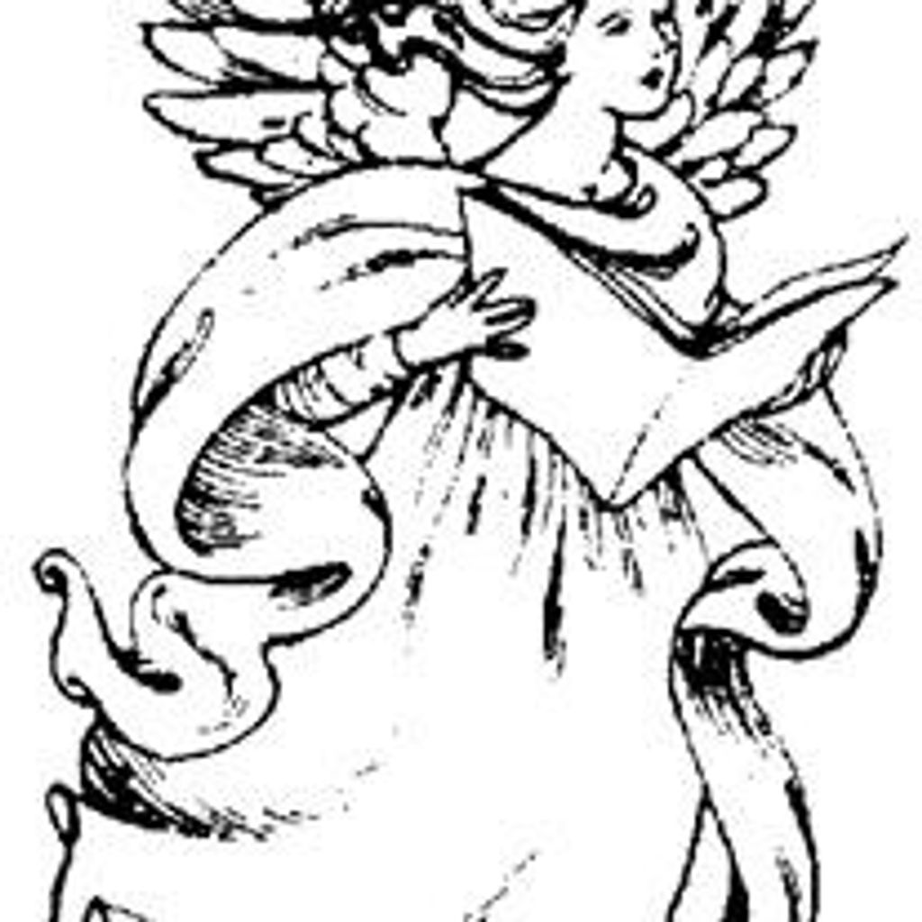 Sherrie Brauch Profile Photo