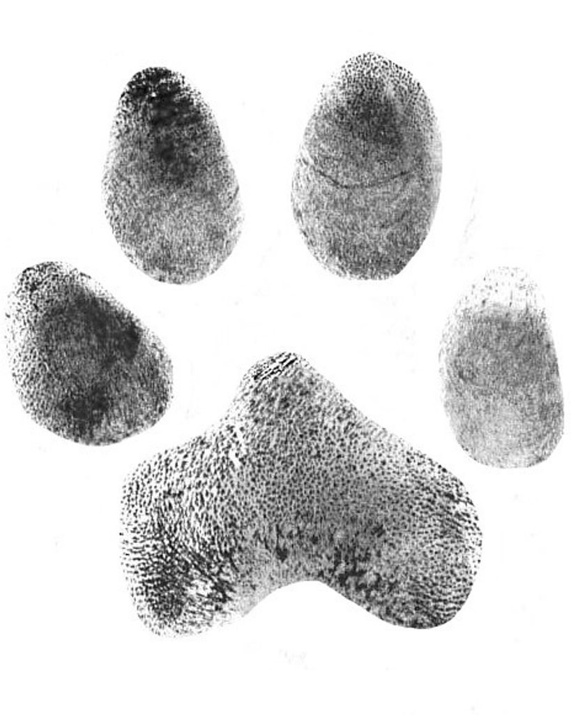 Avalon Watts Profile Photo