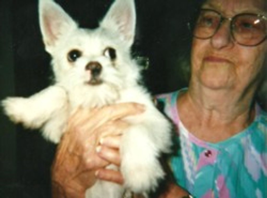 Imogene Dragoo