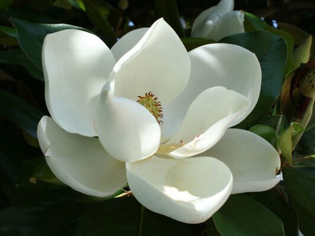 Margaret W Hinds Profile Photo