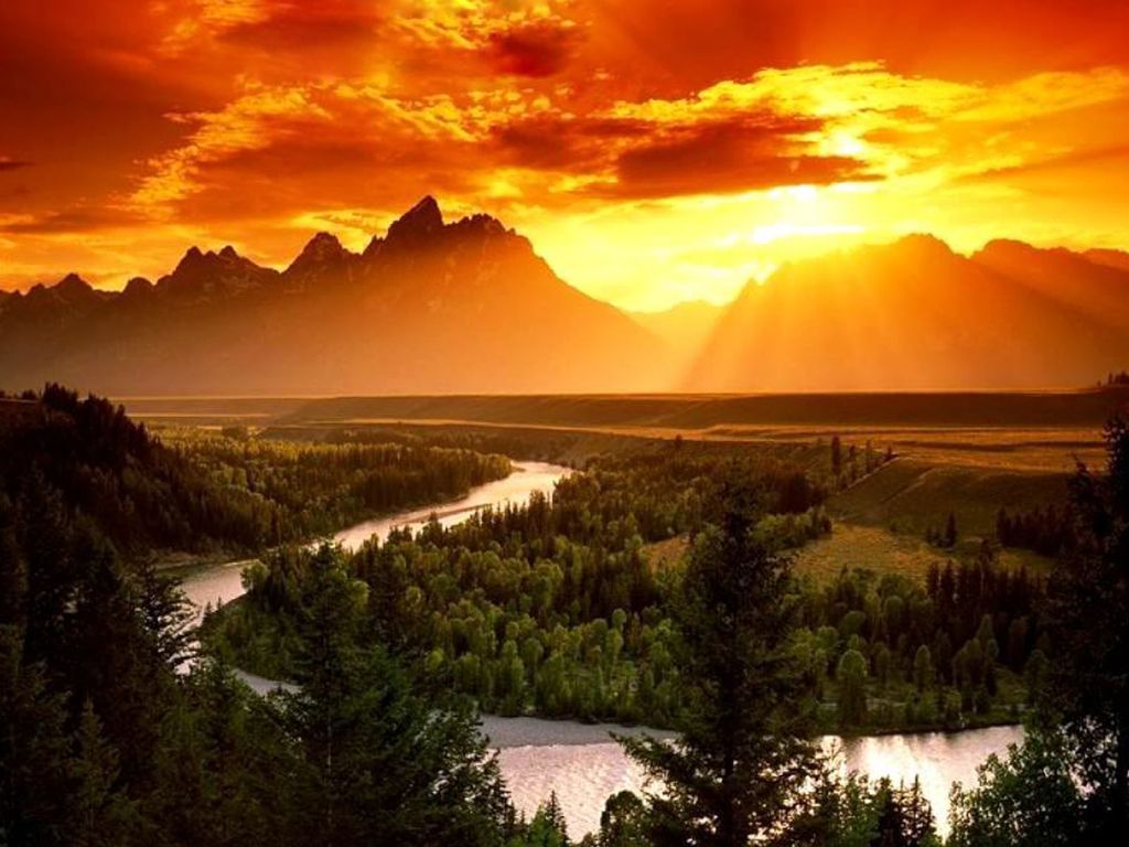 William F Richards Profile Photo