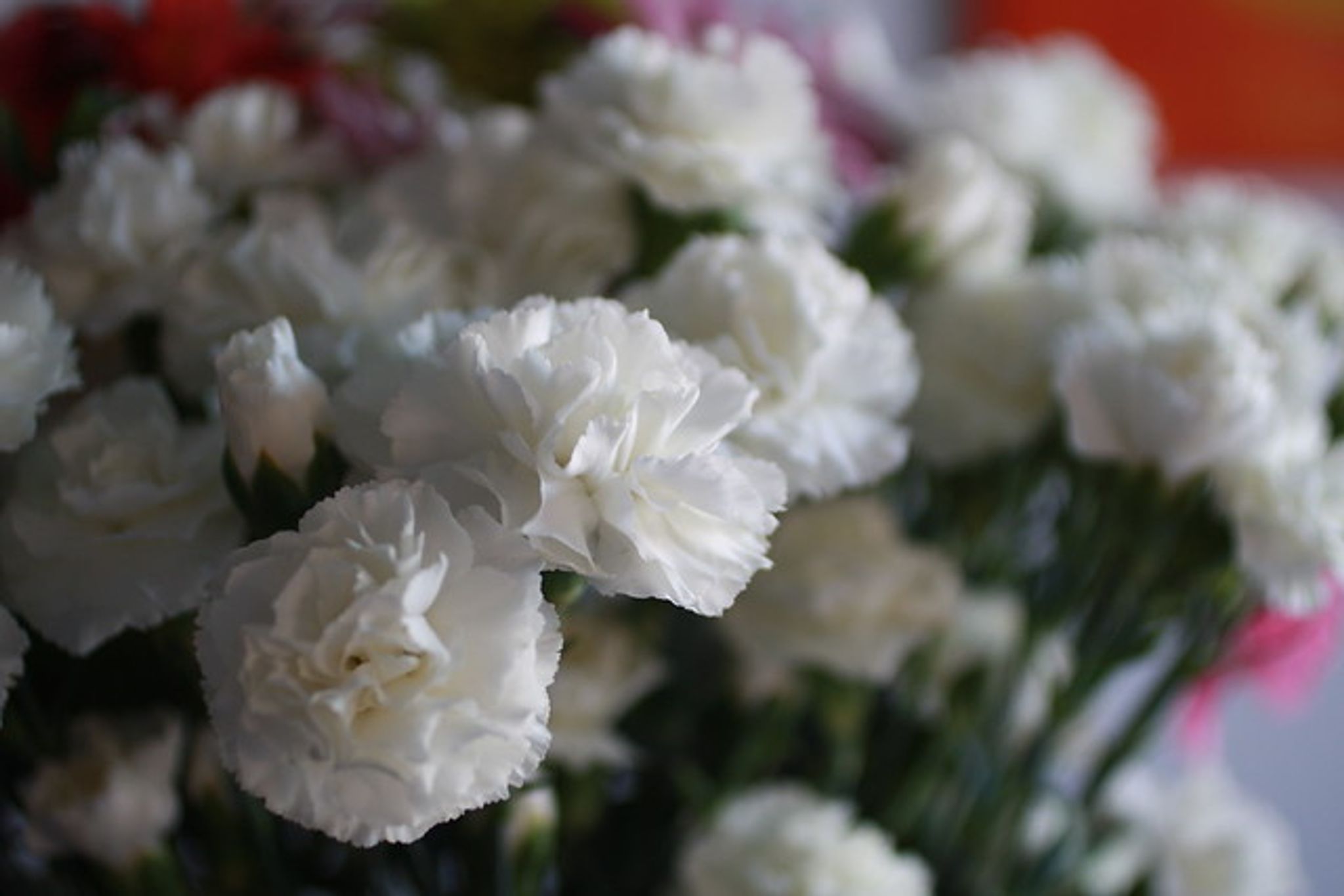Cover photo for Gayle G. Pepper's Obituary