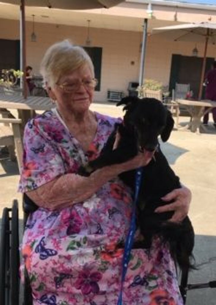 Laura L. Blansett Profile Photo