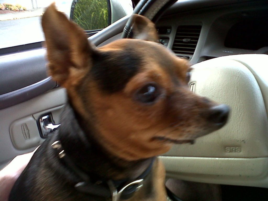 Hulio (Emilio) Petrey Profile Photo