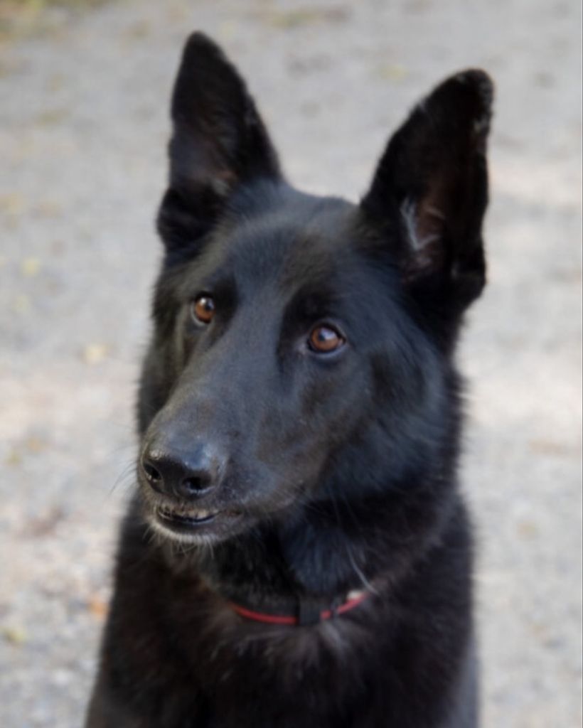 Guenter "Goonti" Clausen