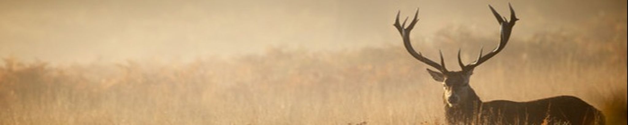 Cover photo for Arturo Trasente's Obituary