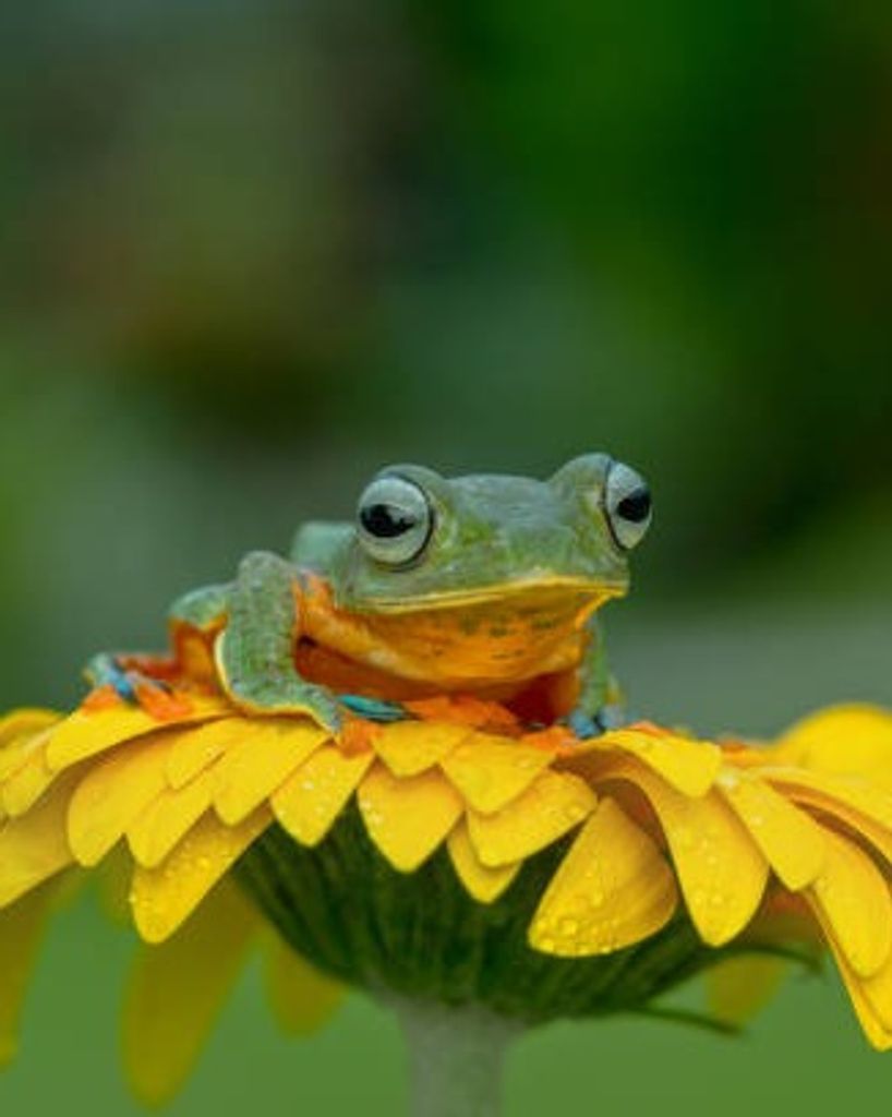 Pablita "Paula" Privetts Profile Photo