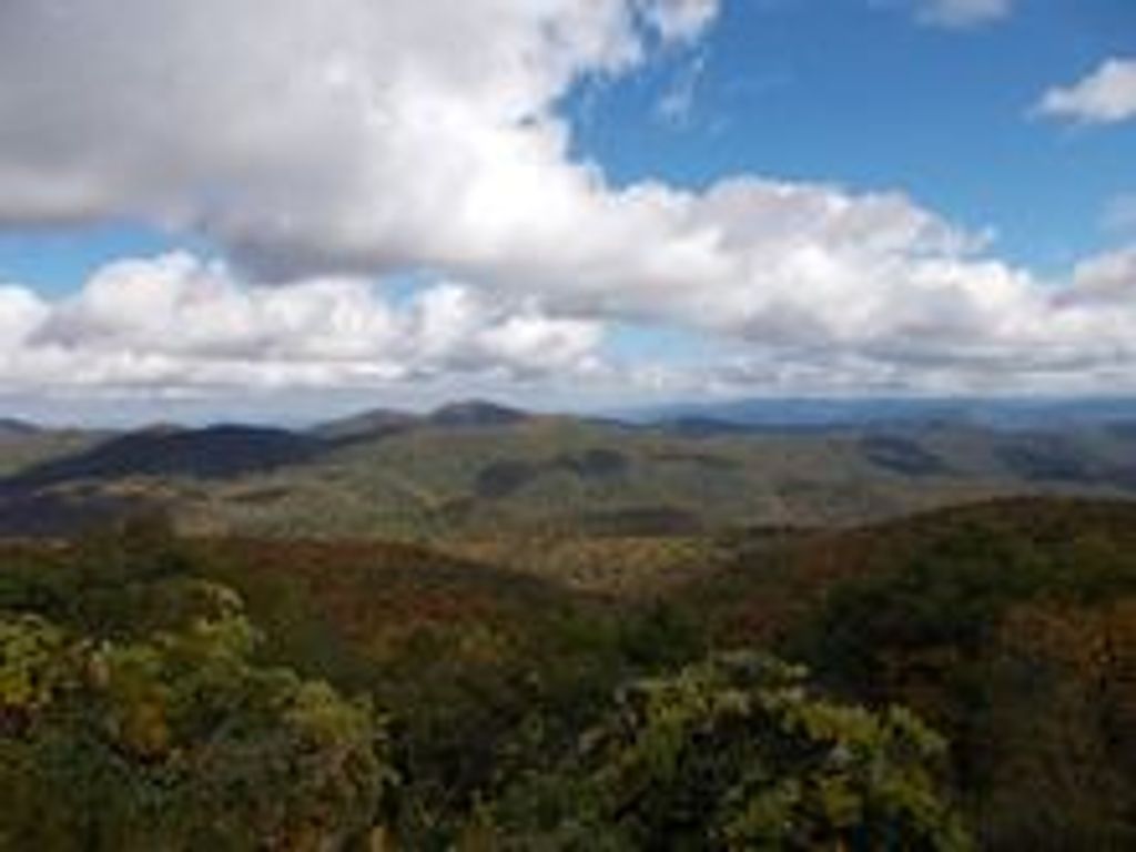 Rachel Stoneback Profile Photo