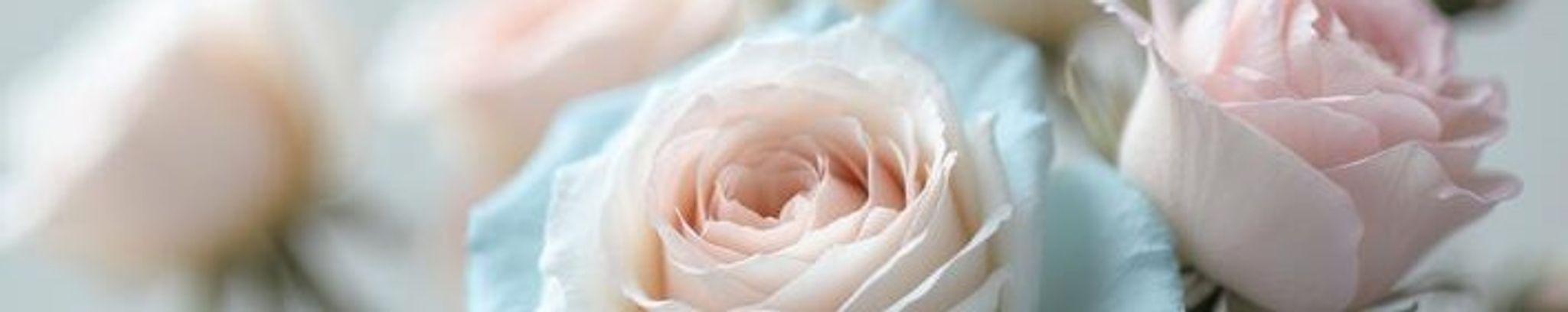 Cover photo for Connie Gutierrez's Obituary