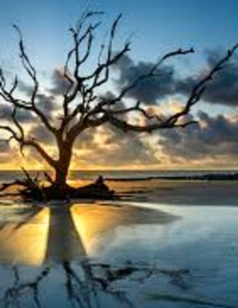 Stanley Burger Ferris, Jr.