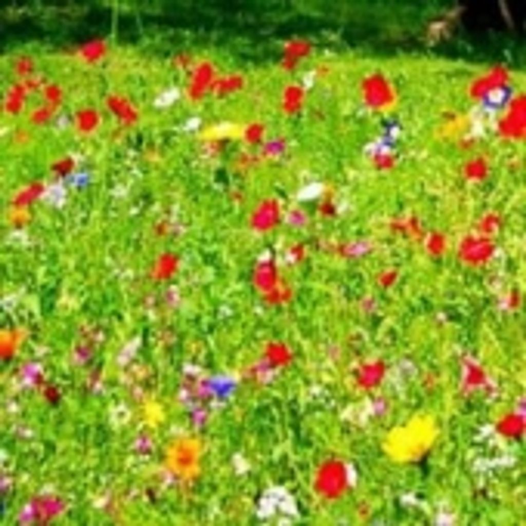 Katherine Barnett O'Connor